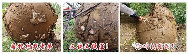 微信圖片_20210818145956