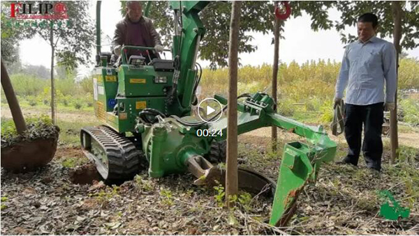 qq截圖20210818150549